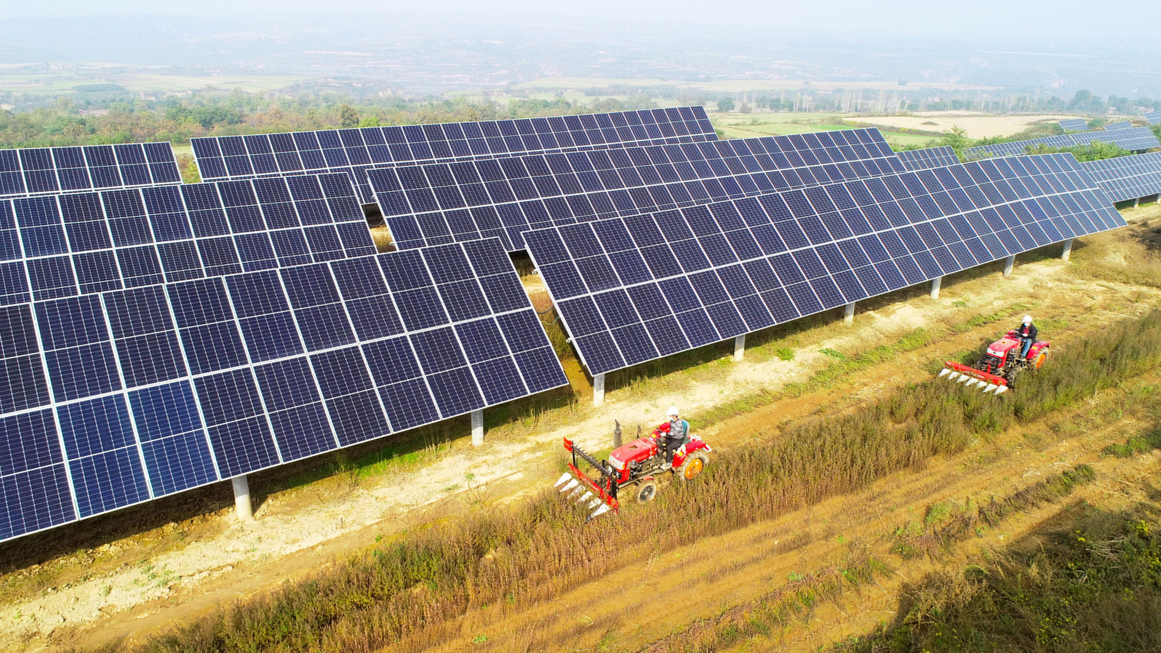 圖3.大唐西安熱電廠永壽高廟山光伏電站進行中草藥收割工作，實現惠農共贏.jpg
