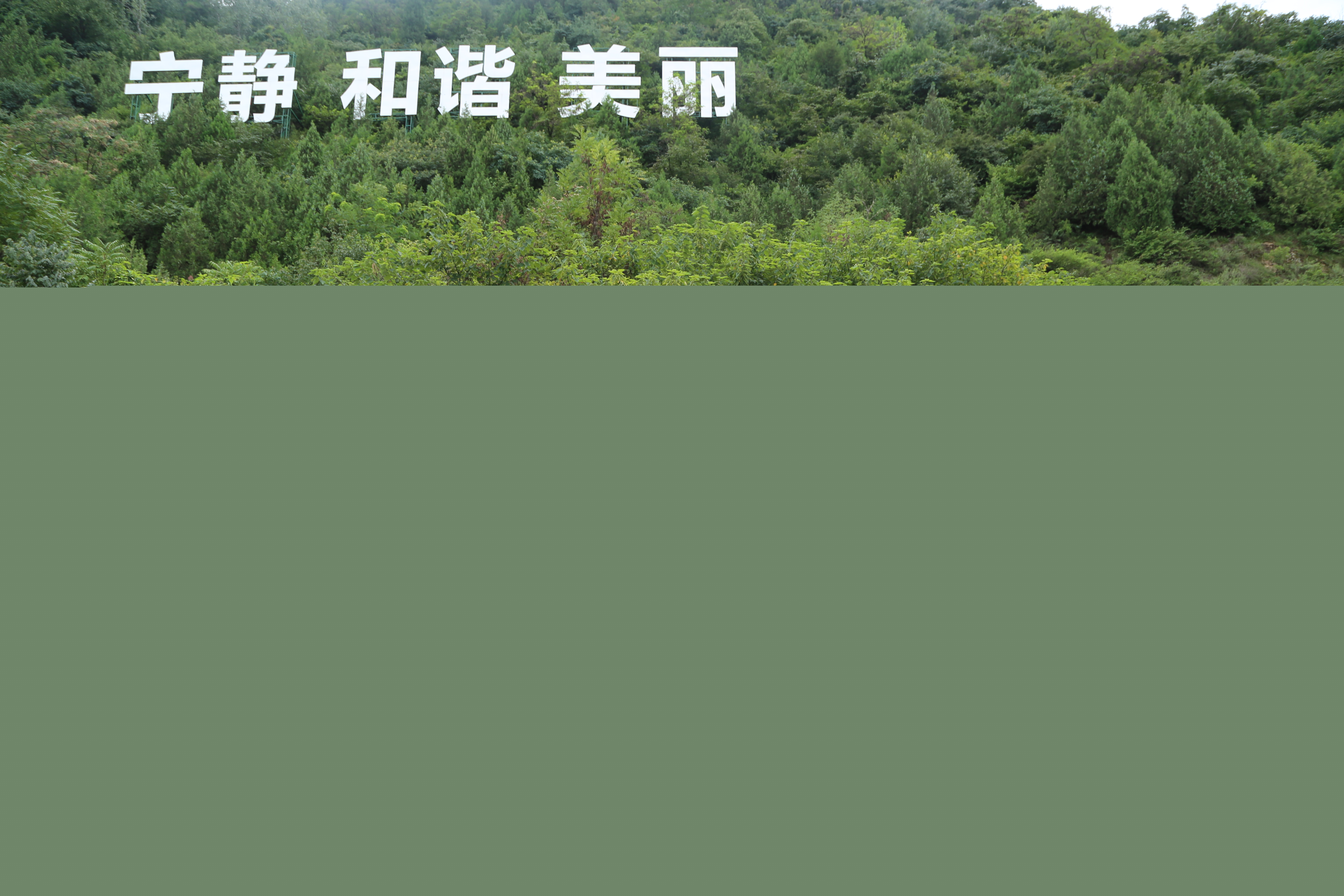 5.在西安市鄠邑區秦嶺保護站合影.jpg